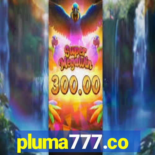 pluma777.co