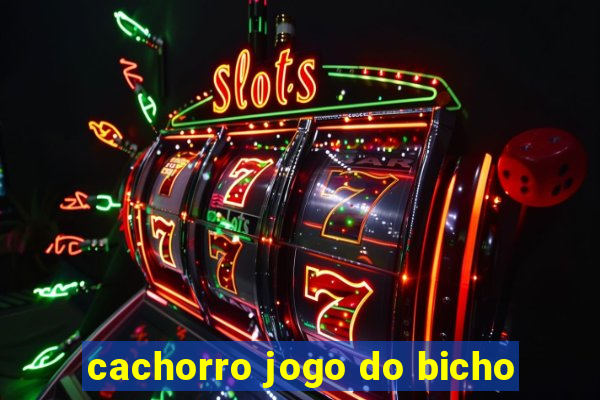 cachorro jogo do bicho