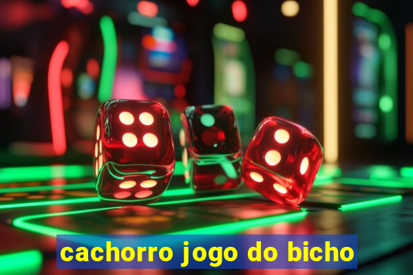 cachorro jogo do bicho