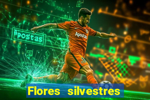 Flores silvestres brasileiras 25