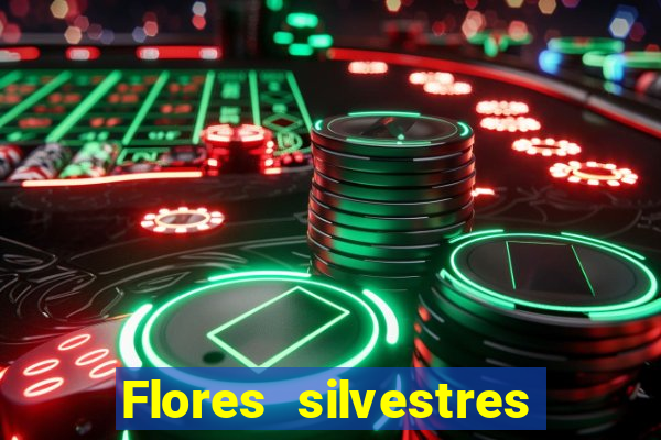 Flores silvestres brasileiras 25