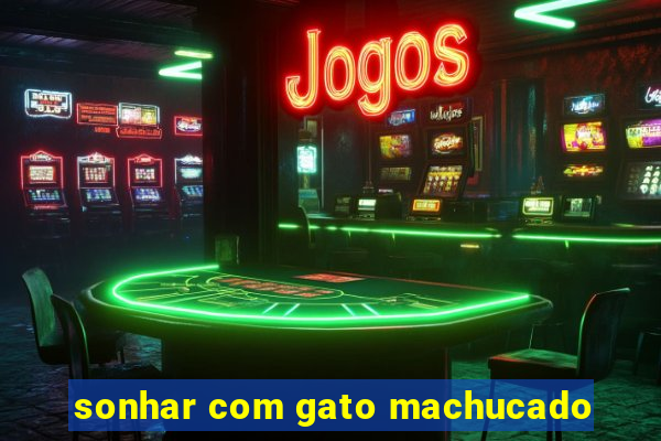 sonhar com gato machucado