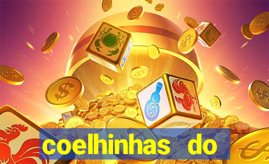 coelhinhas do brasil site