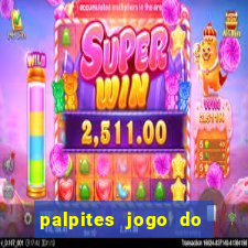 palpites jogo do bicho tavinho