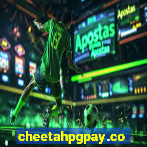 cheetahpgpay.com