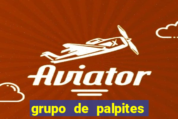 grupo de palpites de futebol whatsapp