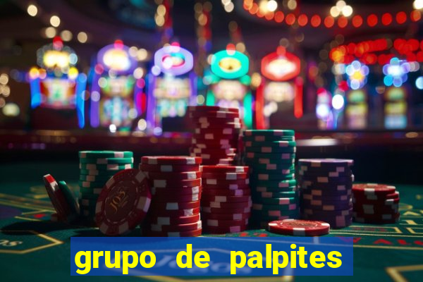 grupo de palpites de futebol whatsapp