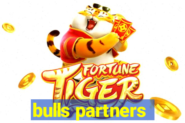 bulls partners