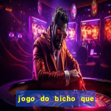 jogo do bicho que paga no pix