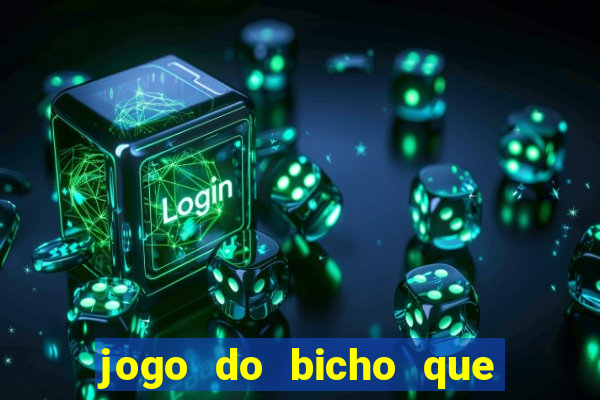 jogo do bicho que paga no pix