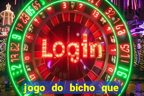 jogo do bicho que paga no pix