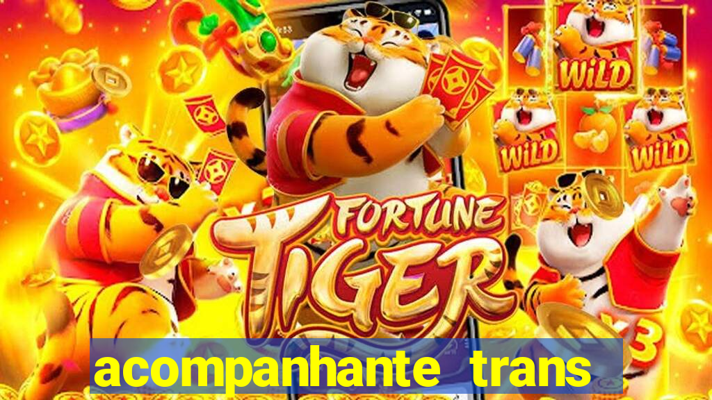 acompanhante trans baixada fluminense