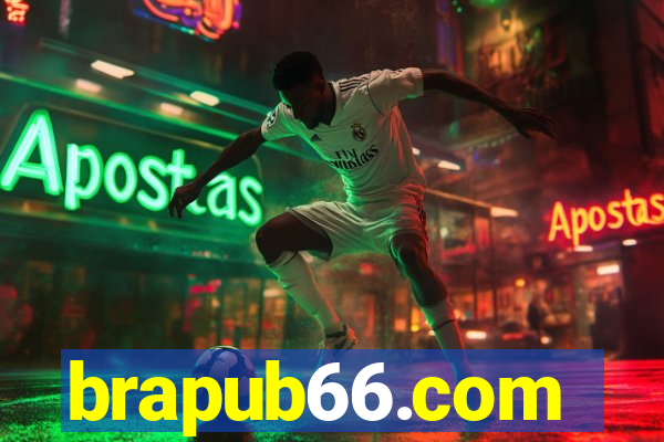 brapub66.com