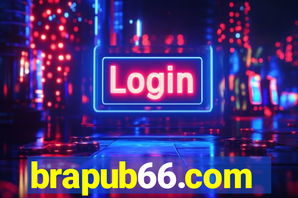 brapub66.com