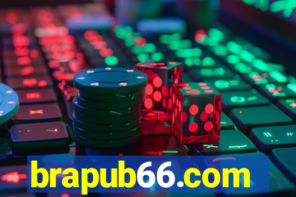 brapub66.com