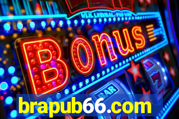 brapub66.com