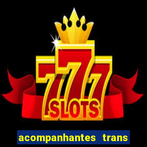 acompanhantes trans porto seguro