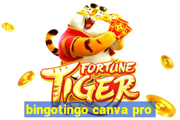 bingotingo canva pro