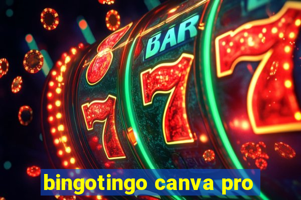 bingotingo canva pro