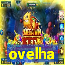 ovelha