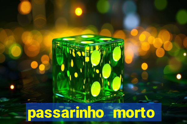 passarinho morto significado espiritual