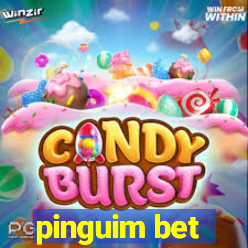 pinguim bet