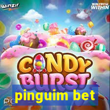 pinguim bet