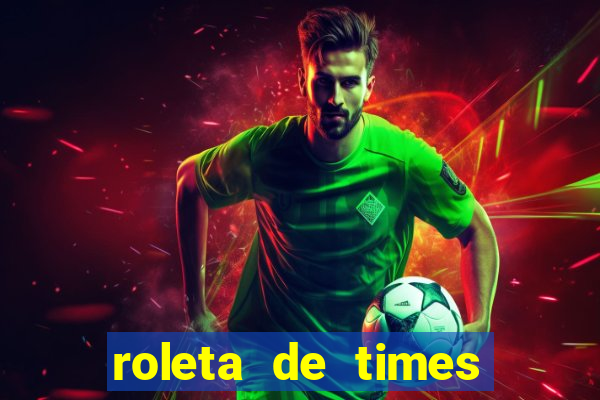 roleta de times brasileiros serie a 2024