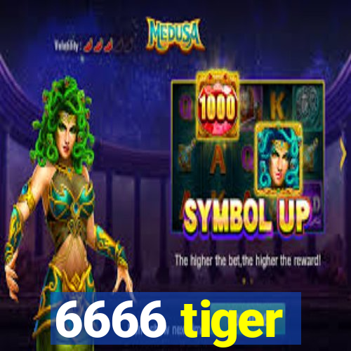 6666 tiger