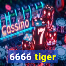 6666 tiger