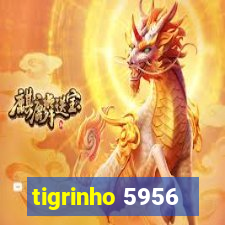 tigrinho 5956