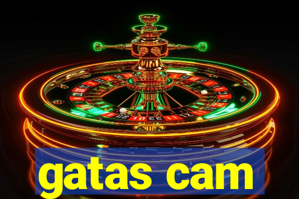 gatas cam