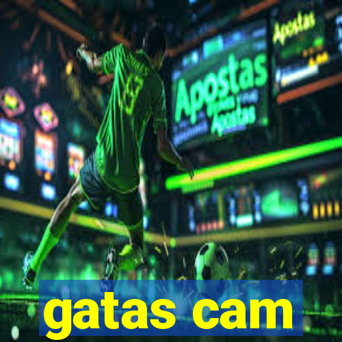 gatas cam