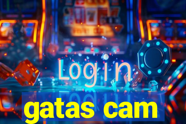 gatas cam