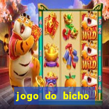 jogo do bicho banca ouro verde