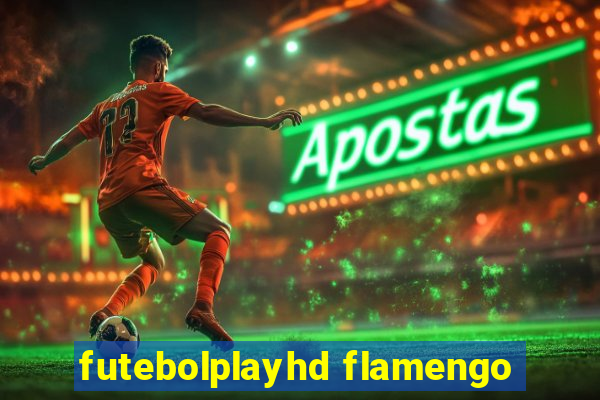 futebolplayhd flamengo