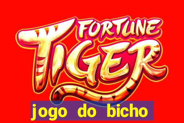 jogo do bicho tipos de apostas