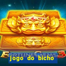 jogo do bicho tipos de apostas