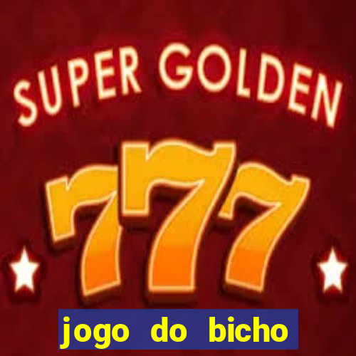 jogo do bicho tipos de apostas