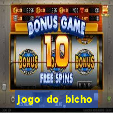 jogo do bicho tipos de apostas