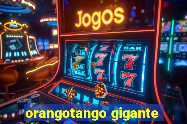 orangotango gigante