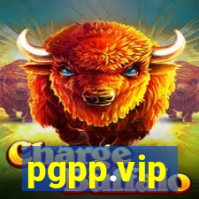 pgpp.vip