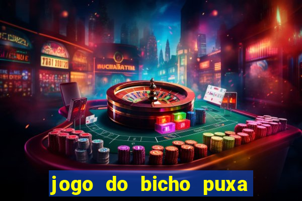 jogo do bicho puxa de dona maria