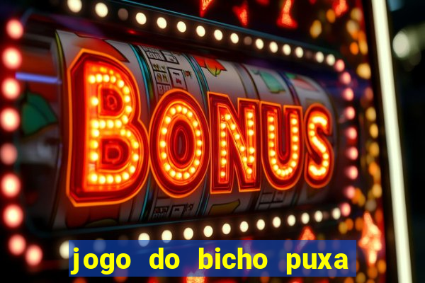 jogo do bicho puxa de dona maria