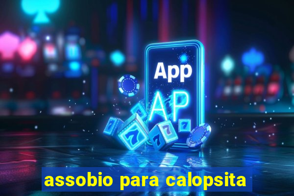 assobio para calopsita