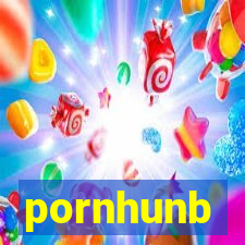 pornhunb