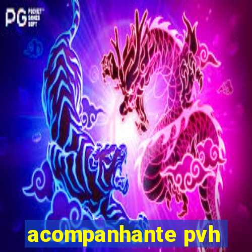 acompanhante pvh