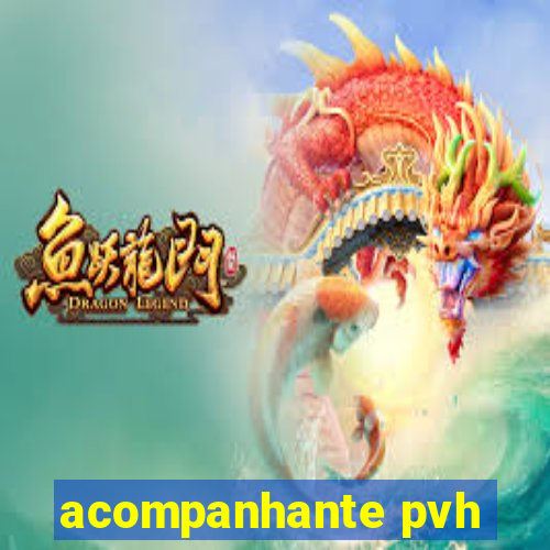 acompanhante pvh