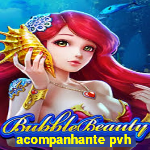 acompanhante pvh