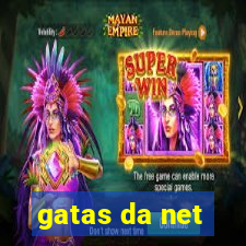 gatas da net